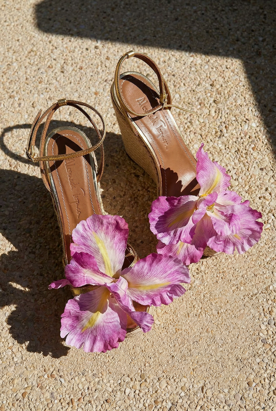 Lily, wedges