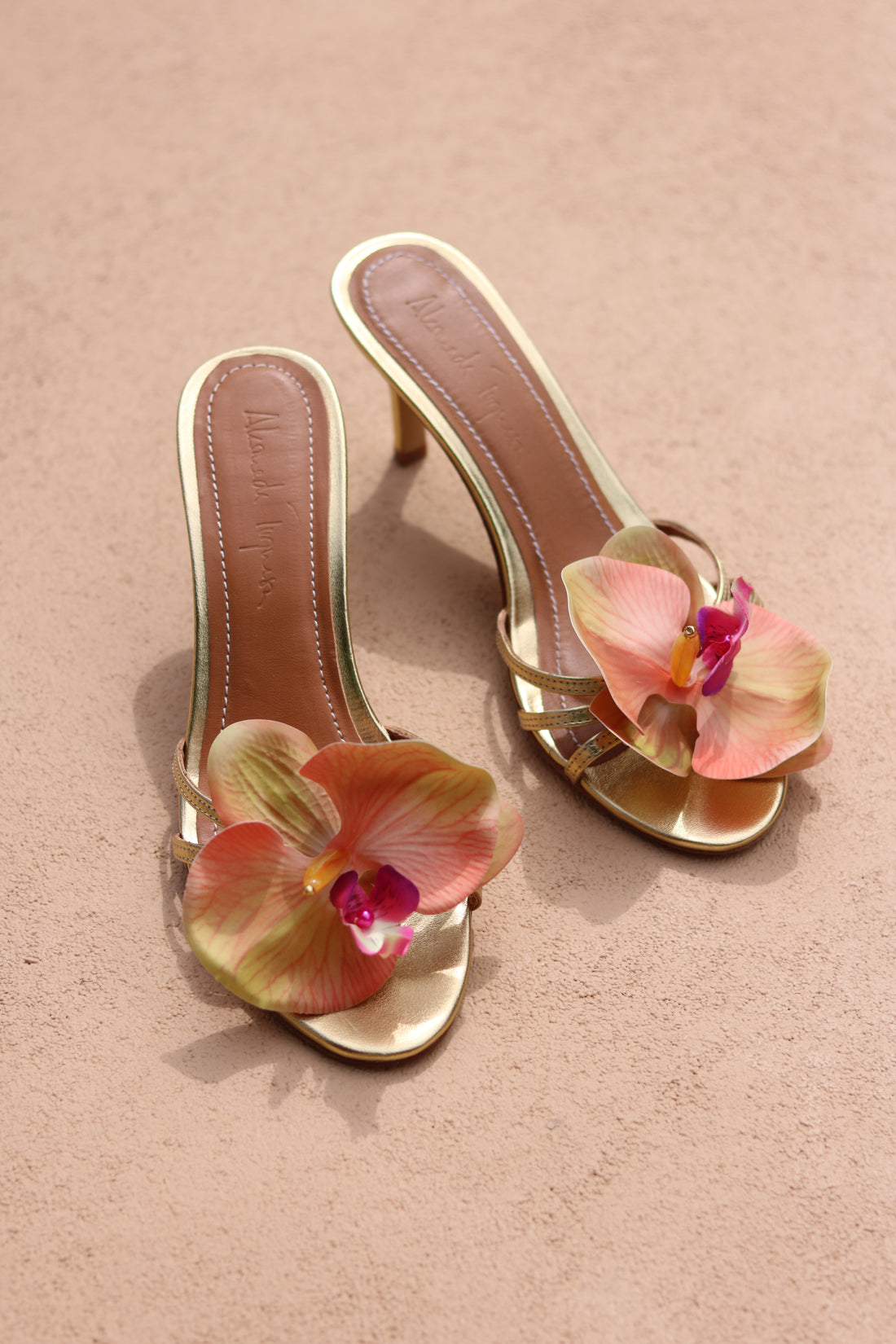 CECILY, FLOWER MULES